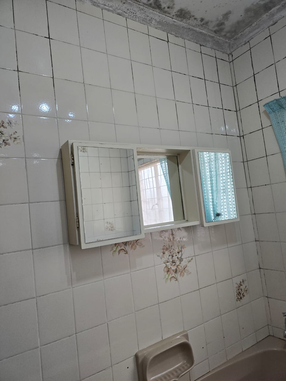 Original bathroom condition