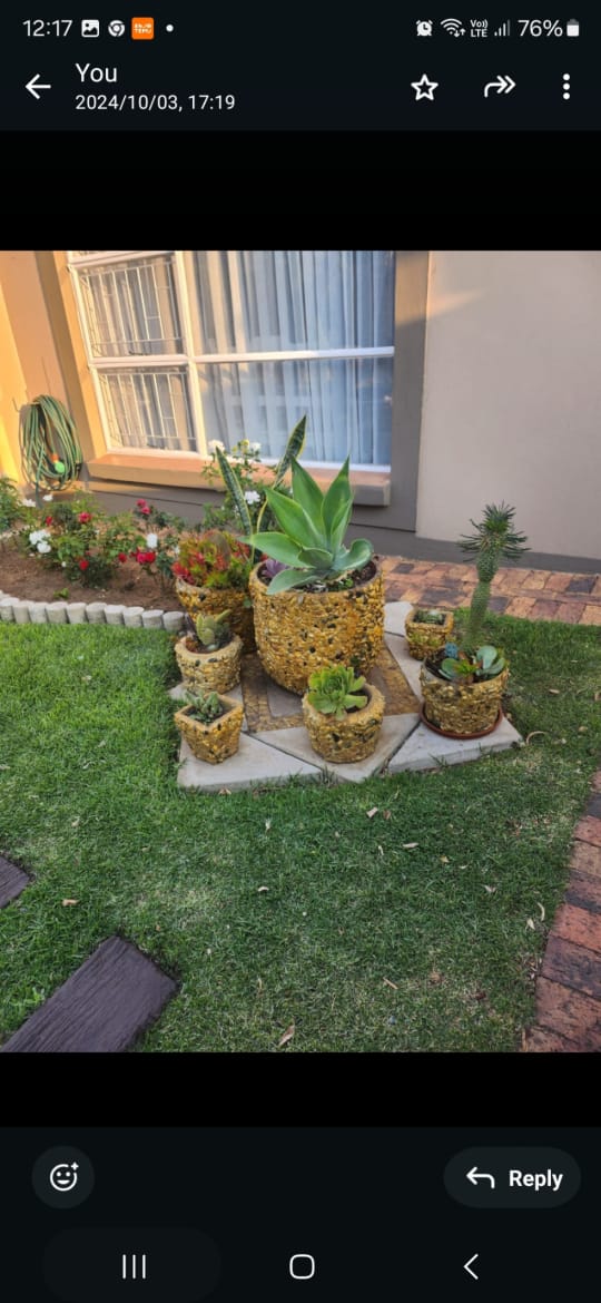 Garden after