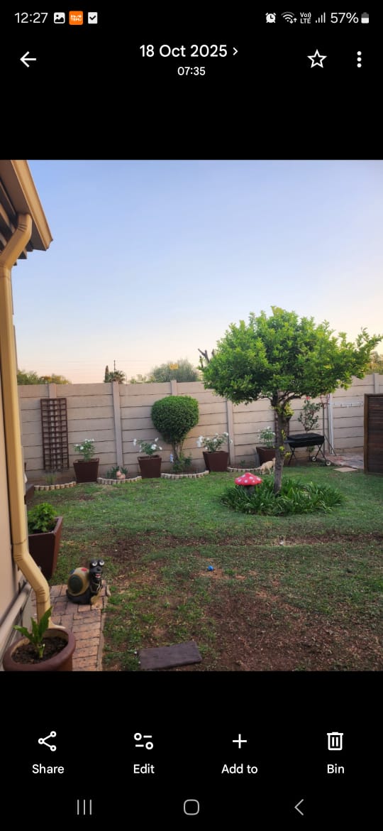 Garden after