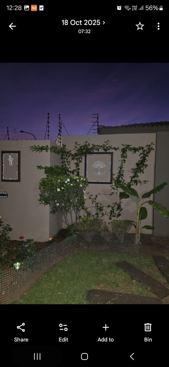 Garden after