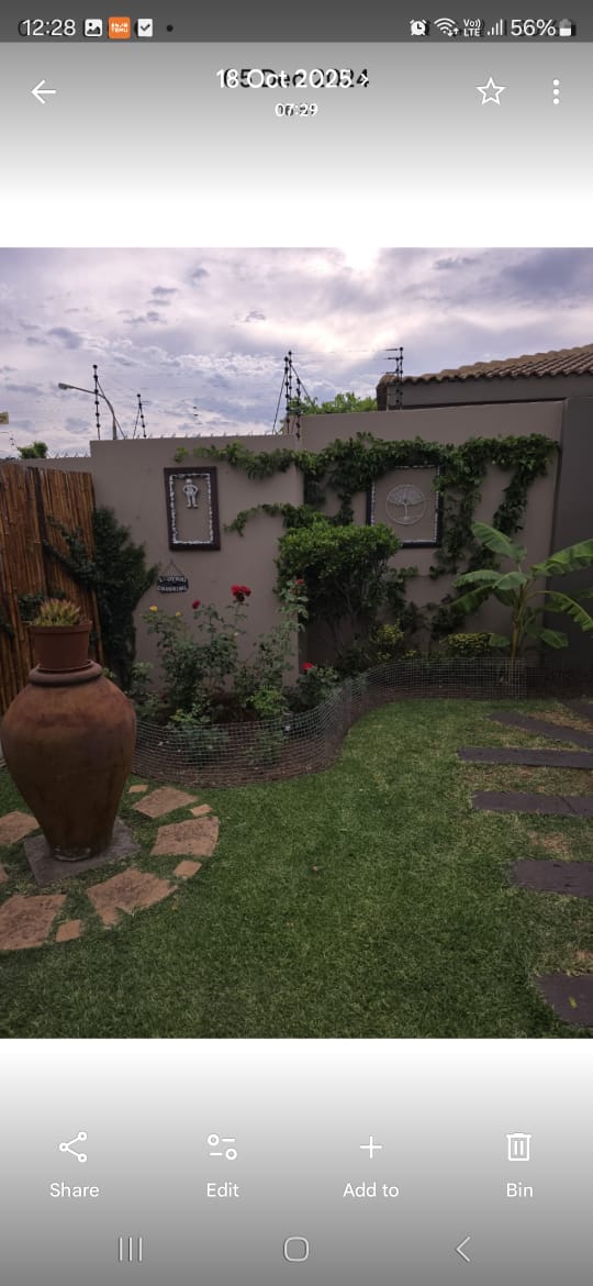 Garden after