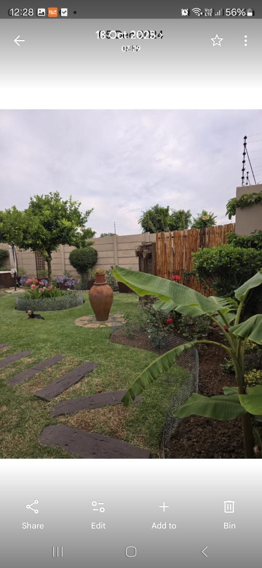 Garden after