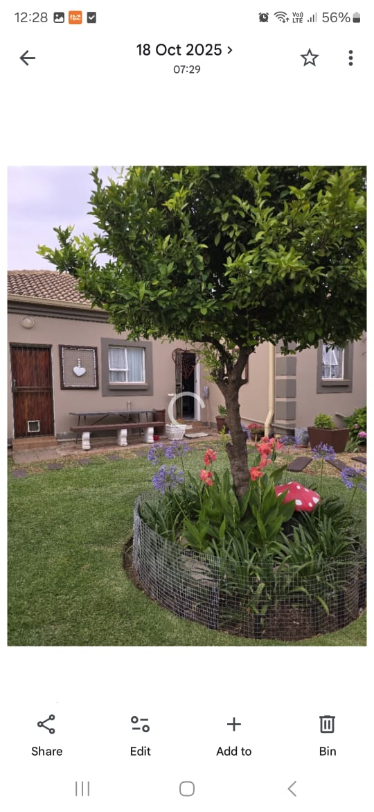 Garden after